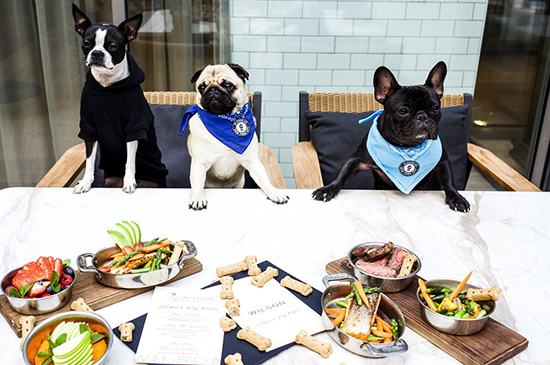 Restaurantes PET FRIENDLY em São Paulo