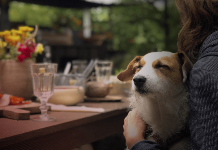 Dicas de restaurantes que aceitam pets em SP